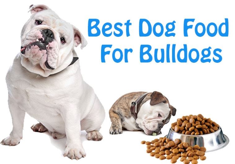 A Healthy Diet For Your Dog. Good nutrition is essential for dogs… by