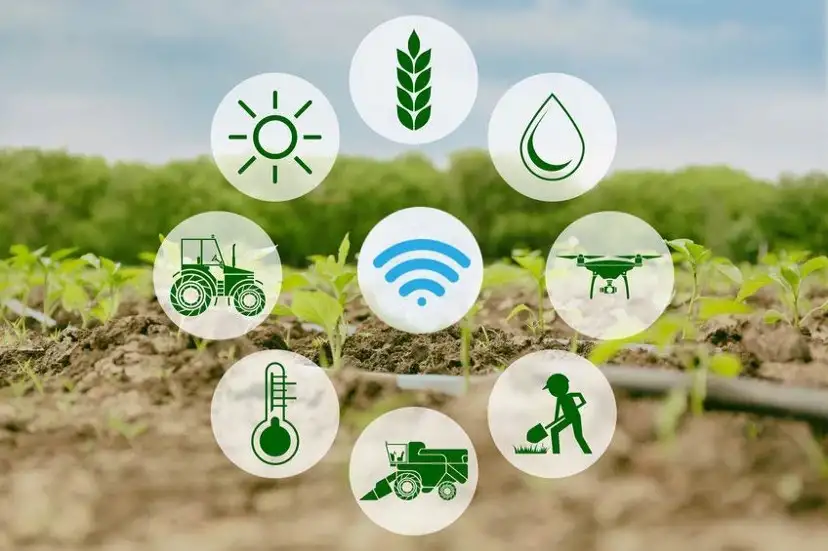 PRECISION AGRICULTURE: TECHNOLOGY FOR SUSTAINABLE FARMING