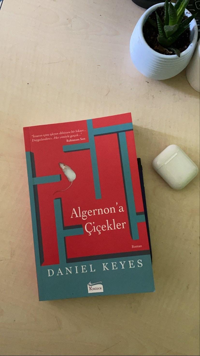 Algernon’a Çiçekler SadeceKitap Medium