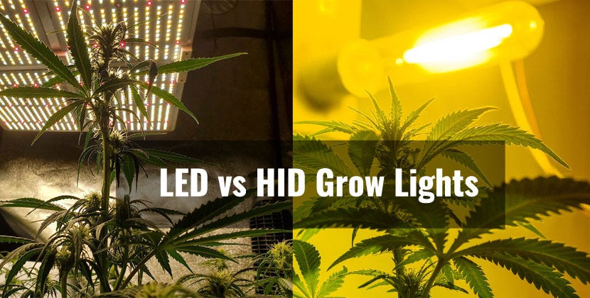 LED vs HID Grow Lights. Today we're going to be discussing the… | by  Granture | Medium