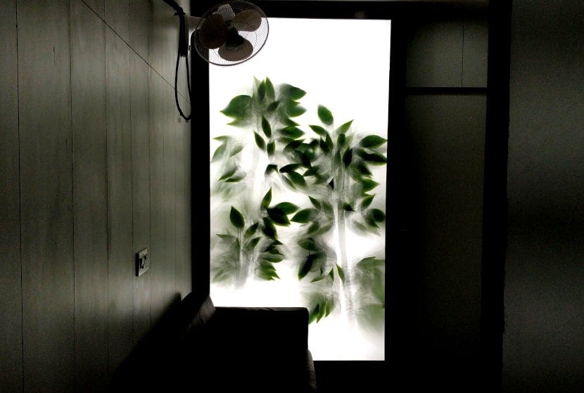 Stretch Ceiling Mumbai Xxtraceil Stretch Ceiling