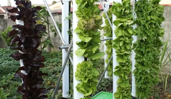 Aquaponic Agriculture Zones - aquaponic