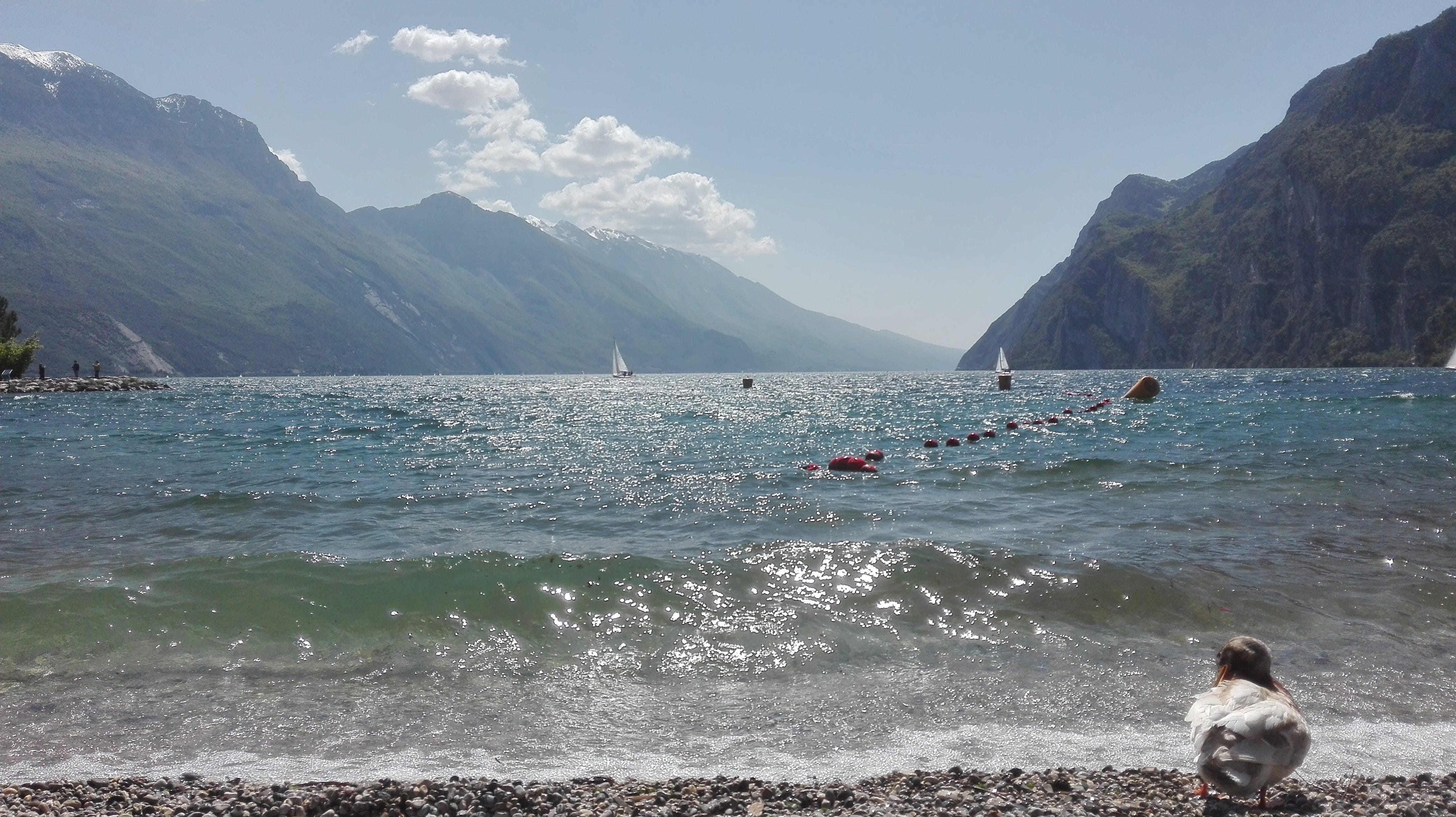 Road Trip Through The Alps In Italy Austria And Liechtenstein By Ines Das Neves Inesdasneves Medium Road Trip Through The Alps In Italy Austria And Liechtenstein By Ines Das Neves Inesdasneves Medium