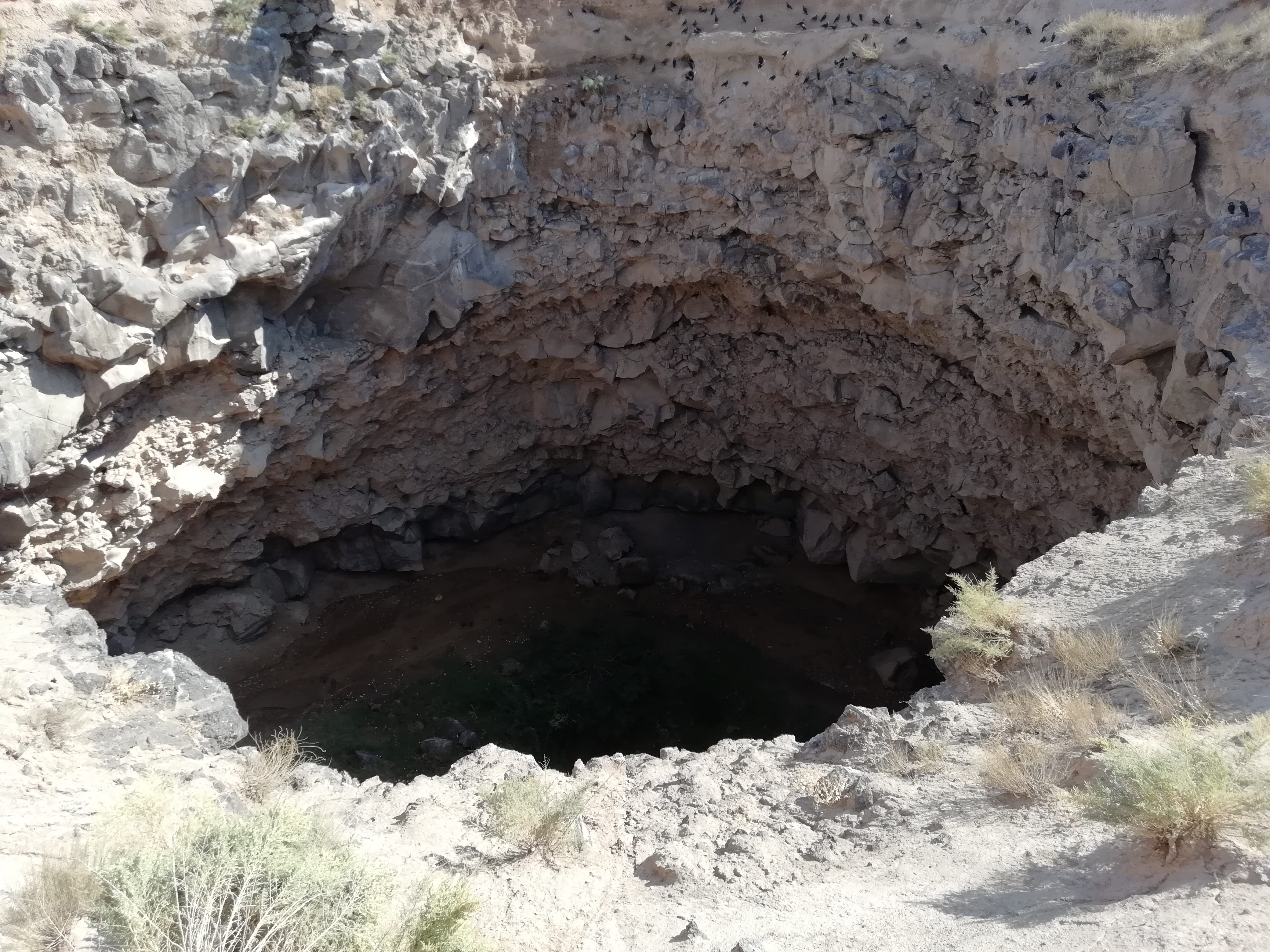 Climbing Mount Ararat Borders Bears And Rockets By Mary Jane Walker A Maverick Traveller Medium