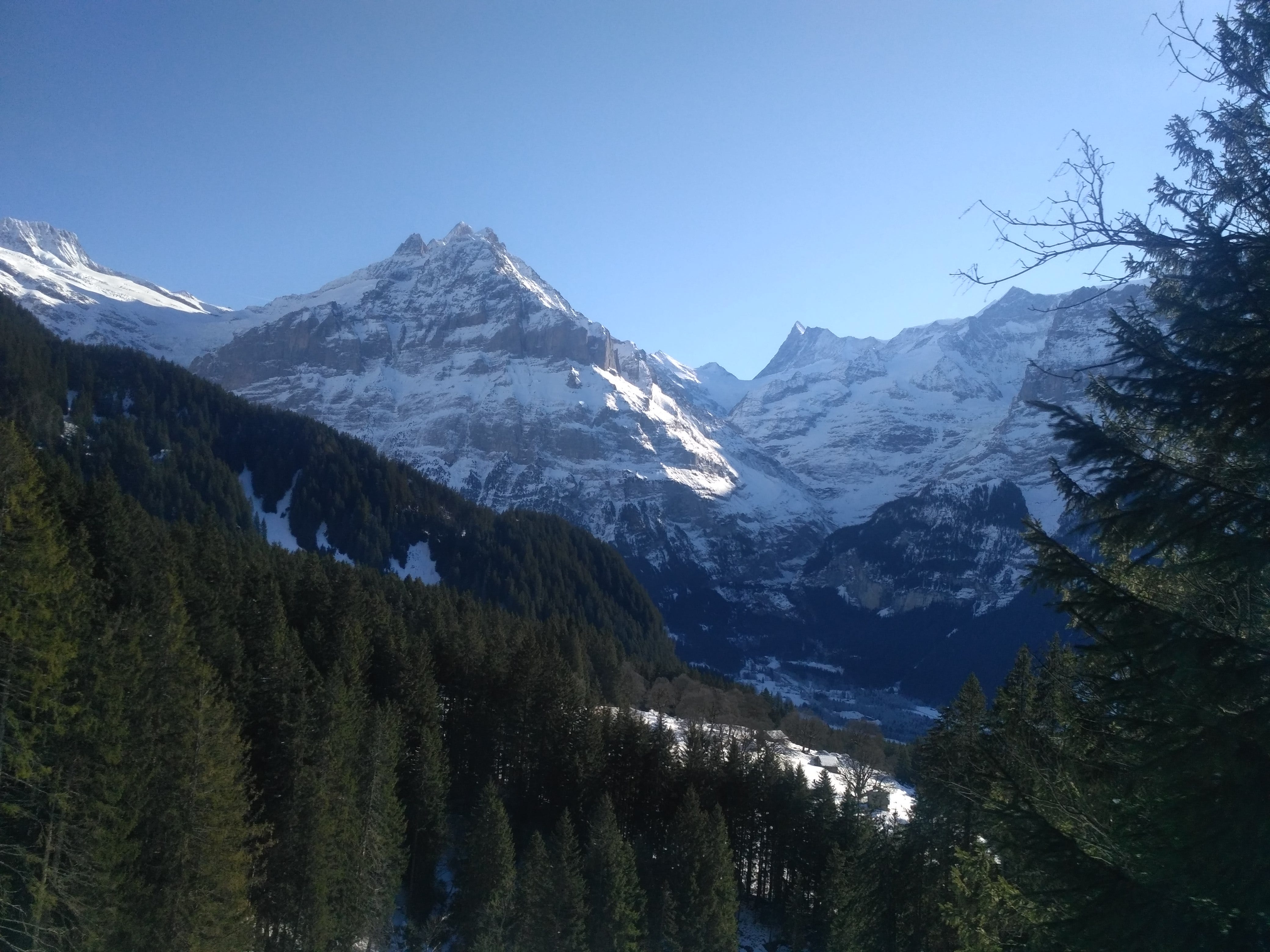 The Alps In Switzerland The Magical Variety Of Landscapes And By Ines Das Neves Inesdasneves Medium