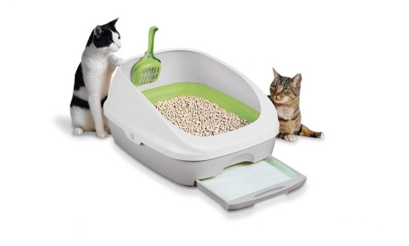 how to train a kitten to use the litter