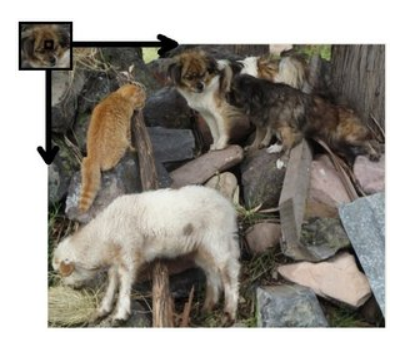 Image To Text Ocr Using Python Python Electroica Blog In 2020 Text Image Ocr Text
