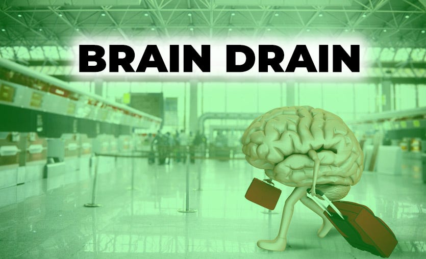 Brain Drain | by Katie Kribbs | Medium