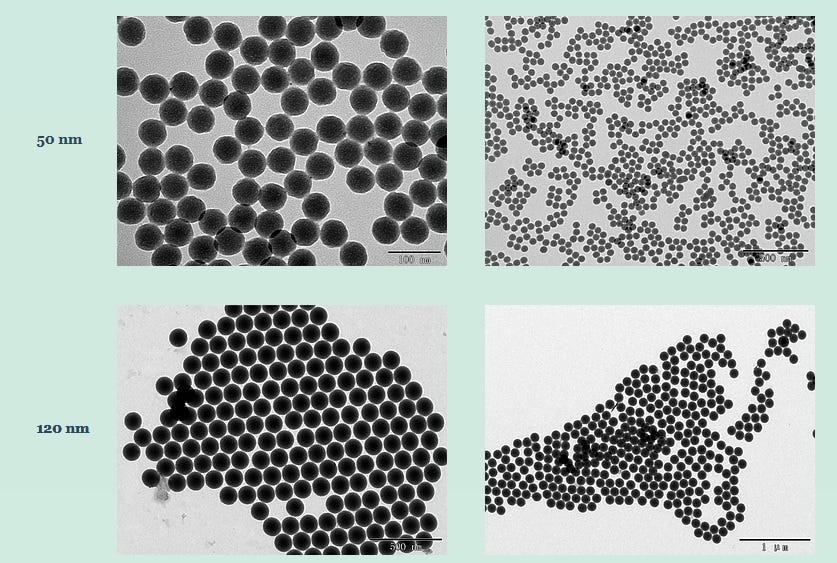 Silica Nanoparticles are Biocompatible Ones!