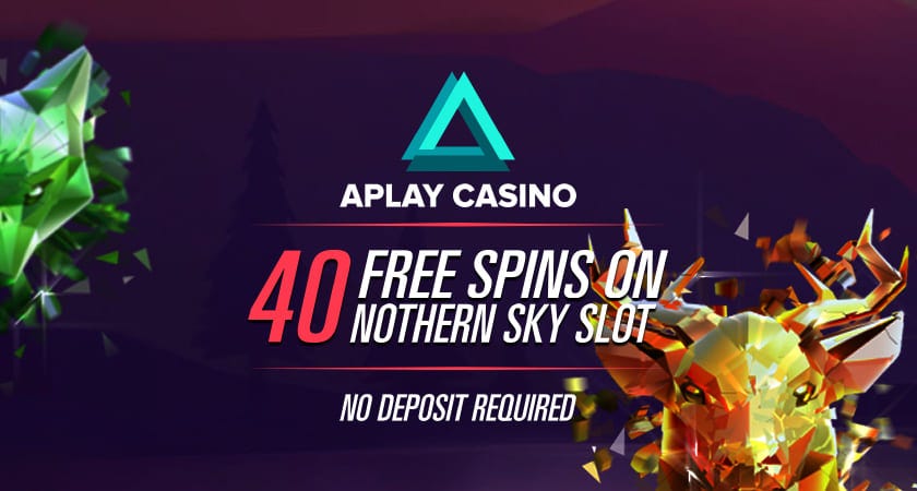 No deposit needed bingo No deposit needed bingo