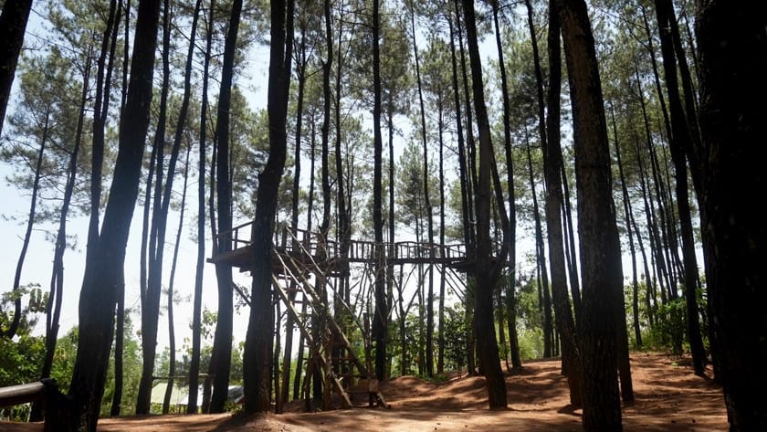 Pinus Pengger: Tempat Liburan Instagramable di Jogja | by Yogya | Jogja |  Medium