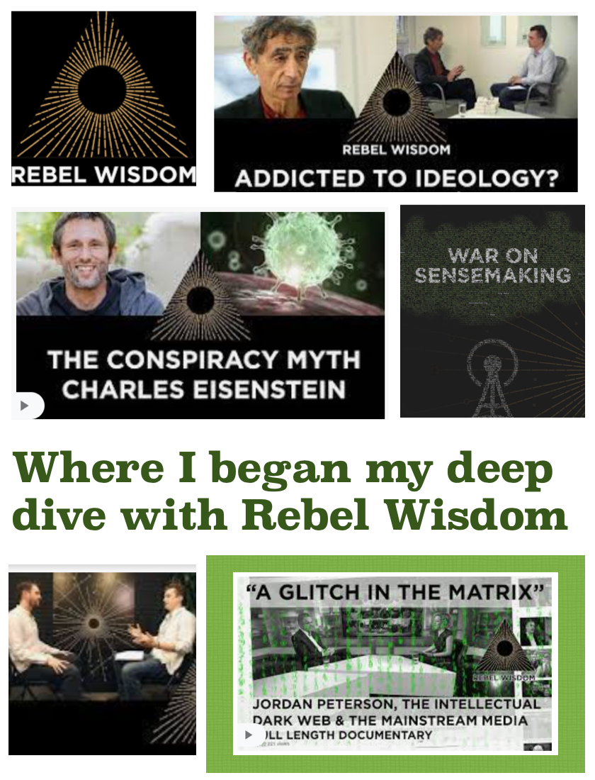 A Deep Dive with Rebel Wisdom by James Governale | Medium