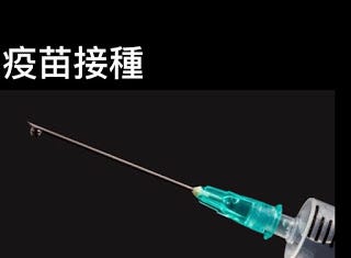 Acls 上課來不及補充說明的小細節 By 臨床筆記 Medium Acls 上課來不及補充說明的小細節 By 臨床筆記 Medium