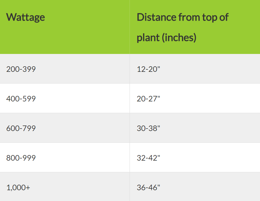 Led Grow Light Distance Chart How Far Should Led Grow Lights Be From Plants By Led Grow Light Medium