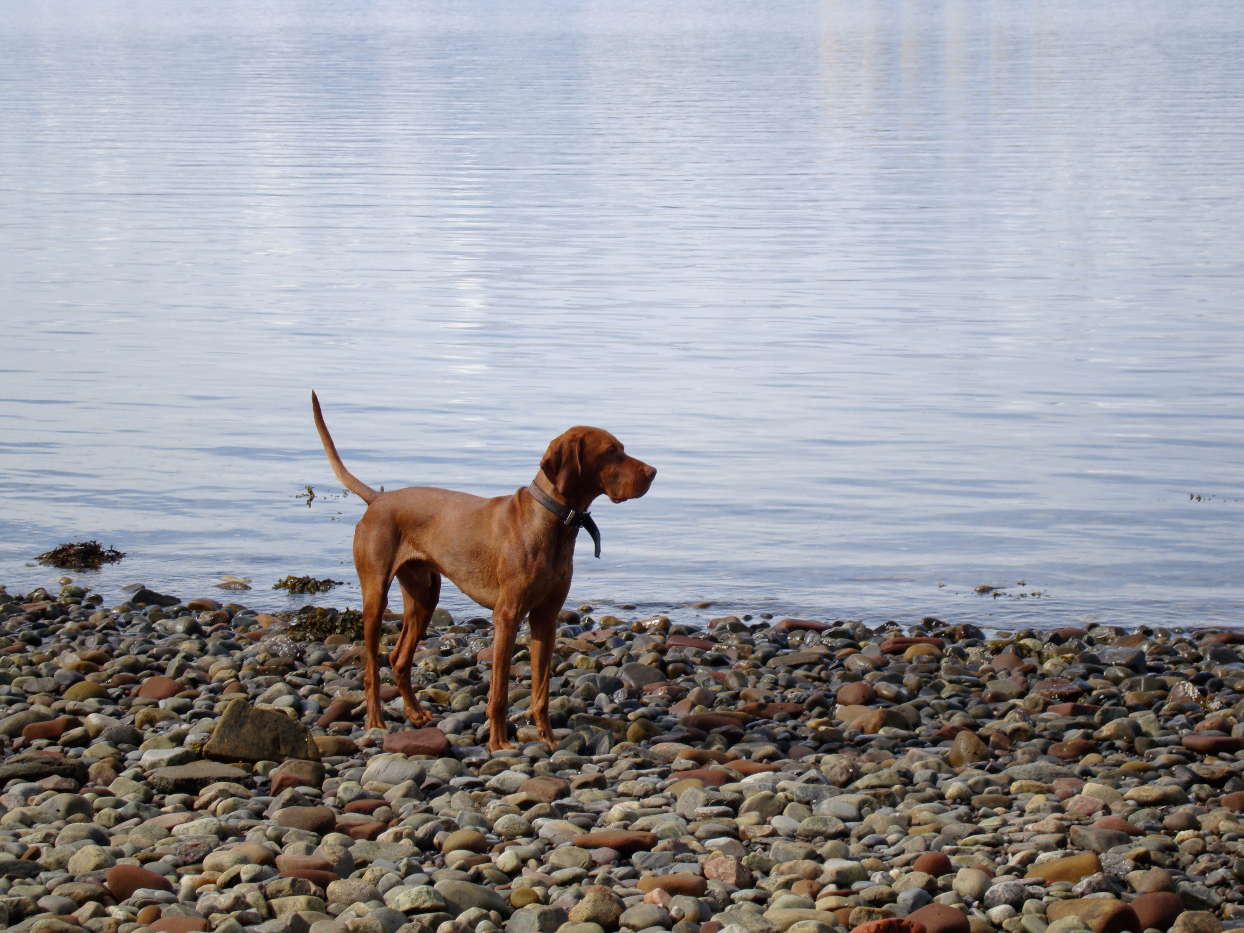 In Truth Whatever Is Worth Doing At All Is Worth Doing Well And Nothing Can Be Done Well Without Attention By Steve Agyei Medium