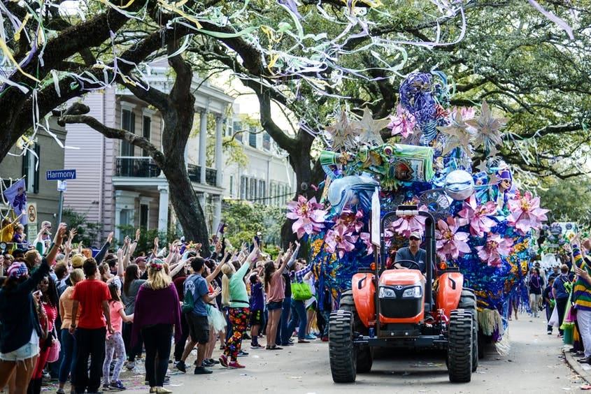 The Neutral Ground. An American Mardi Gras Truce by Alice Cheshire