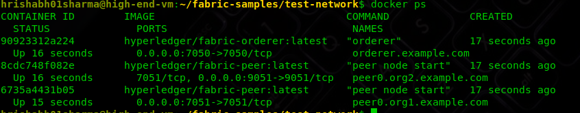 Hyperledger Fabric v2.1: Setting Things Up