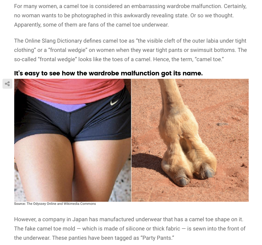 What Does A Camel Toe Mean