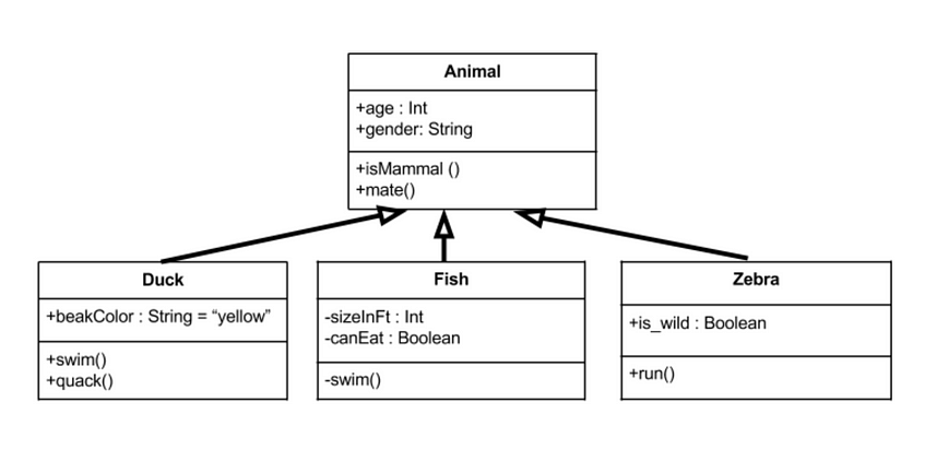 Inheritance in a class diagram