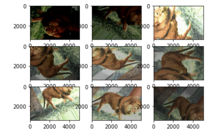 Image Data Augmentation using KERAS