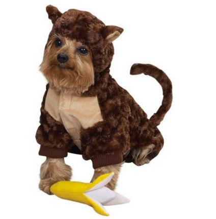 instant gratification monkey plush toy