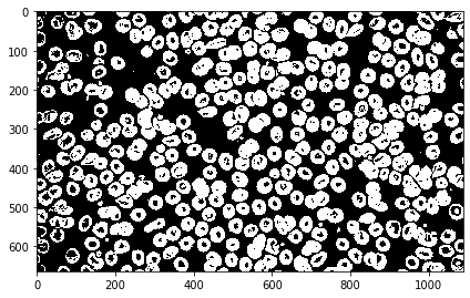 Spot the blob on the job: Image Detection, Labeling, and Measurement ...