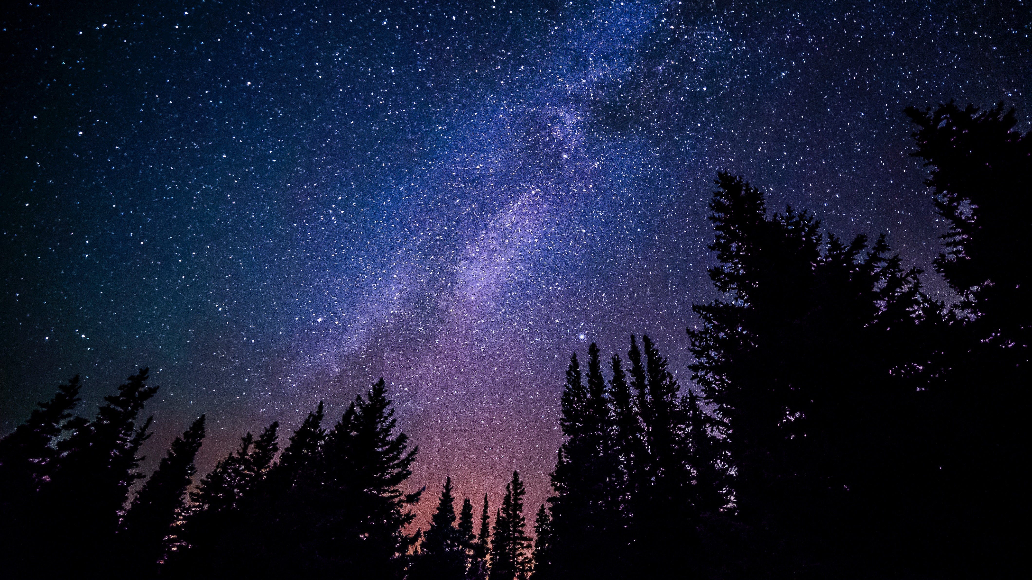 Dark forest at night with galaxy of stars above