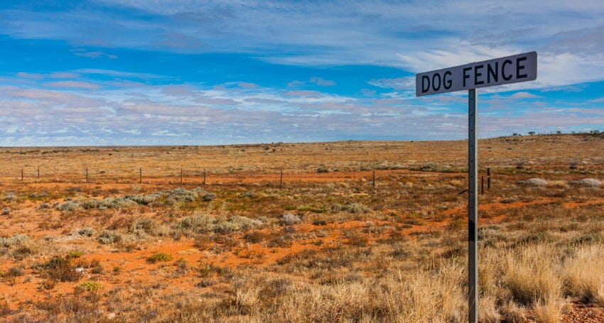 wild dog fence