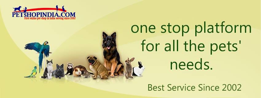 best pet stores online