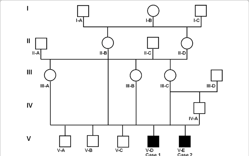 Biology: The Effects on Inbreeding on Animal and Human Populations | by ...