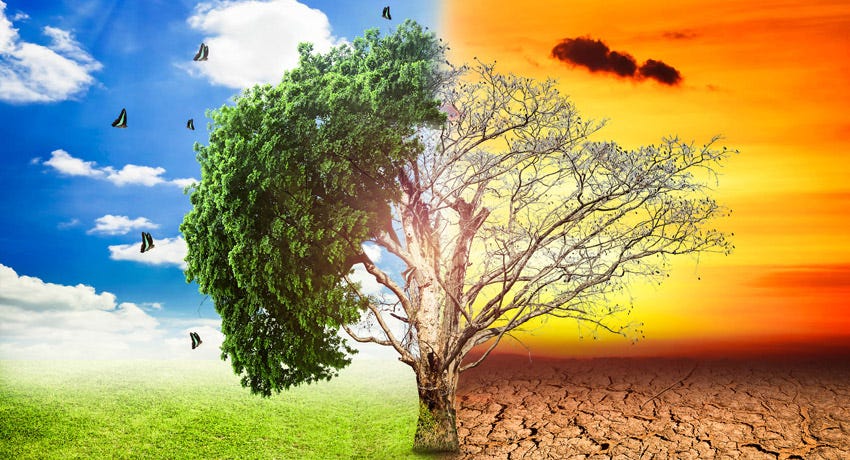 IMPACTO AMBIENTAL. El impacto ambiental al medio natural… | by Estefi P.C |  Medium