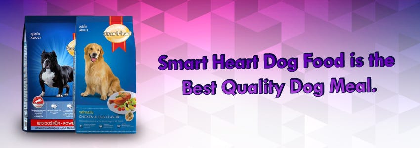 healthy heart dog food