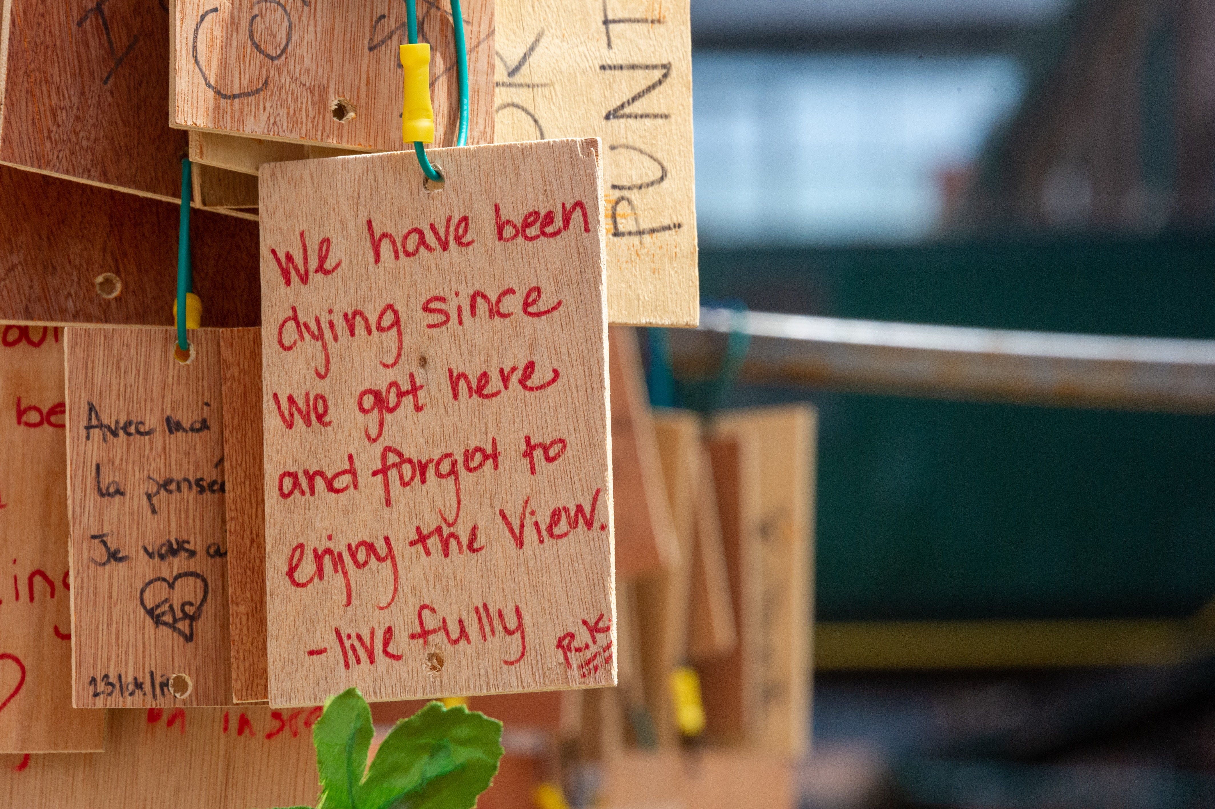 Handwritten sign on a wood tag amidst a cluster of wooden tags: We have been dying since We got here and forgot to enjoy the view. live fully.