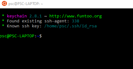 Use an ssh-agent in WSL with your ssh setup from windows 10 | by Philipp  Scheit | Medium