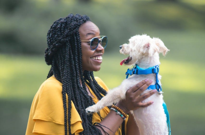 The Funniest Trending Topic On Twitter Black Dog Parents