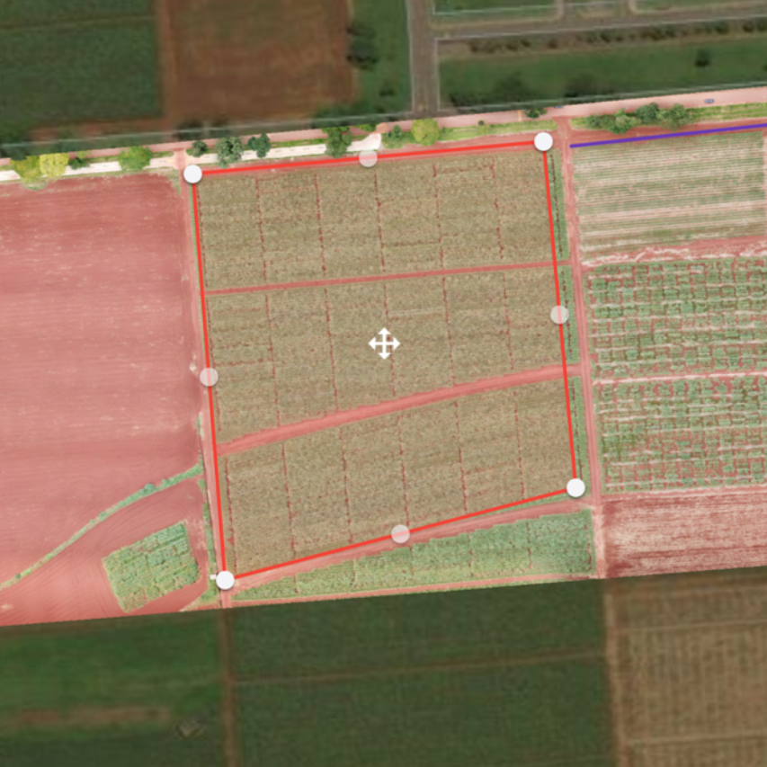 Medición de Áreas con Drones. Medir áreas y superficies es una… | by  Agromapeo | Medium