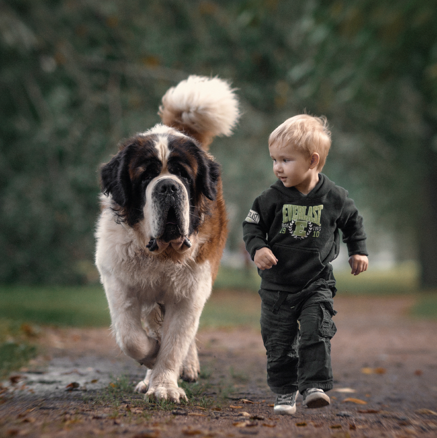 best big dog breeds for kids