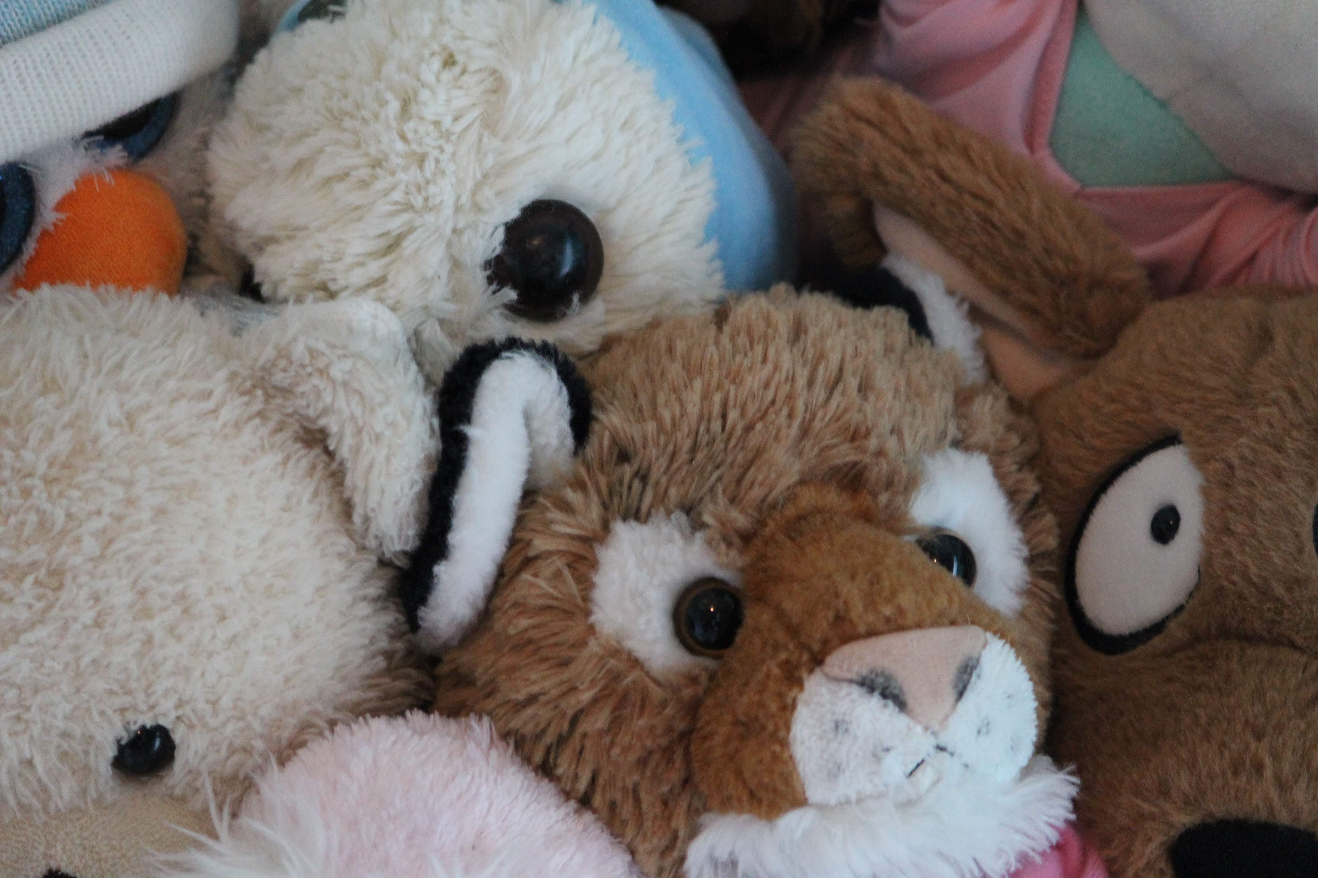 sleeping with a stuffed animal