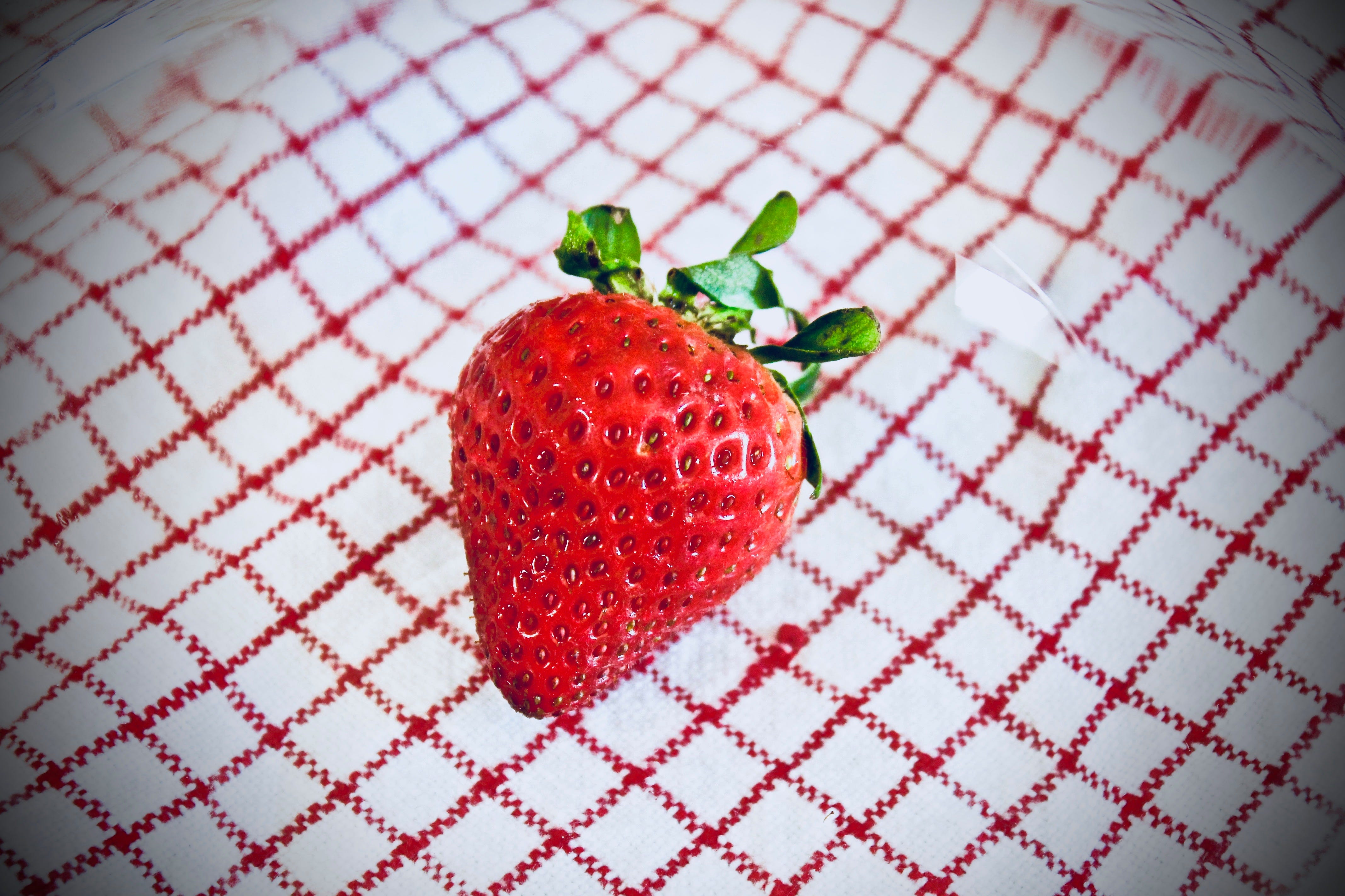 Strawberries Taught Me What True Deep Love Means By Lily Latson Medium true deep love means by lily latson