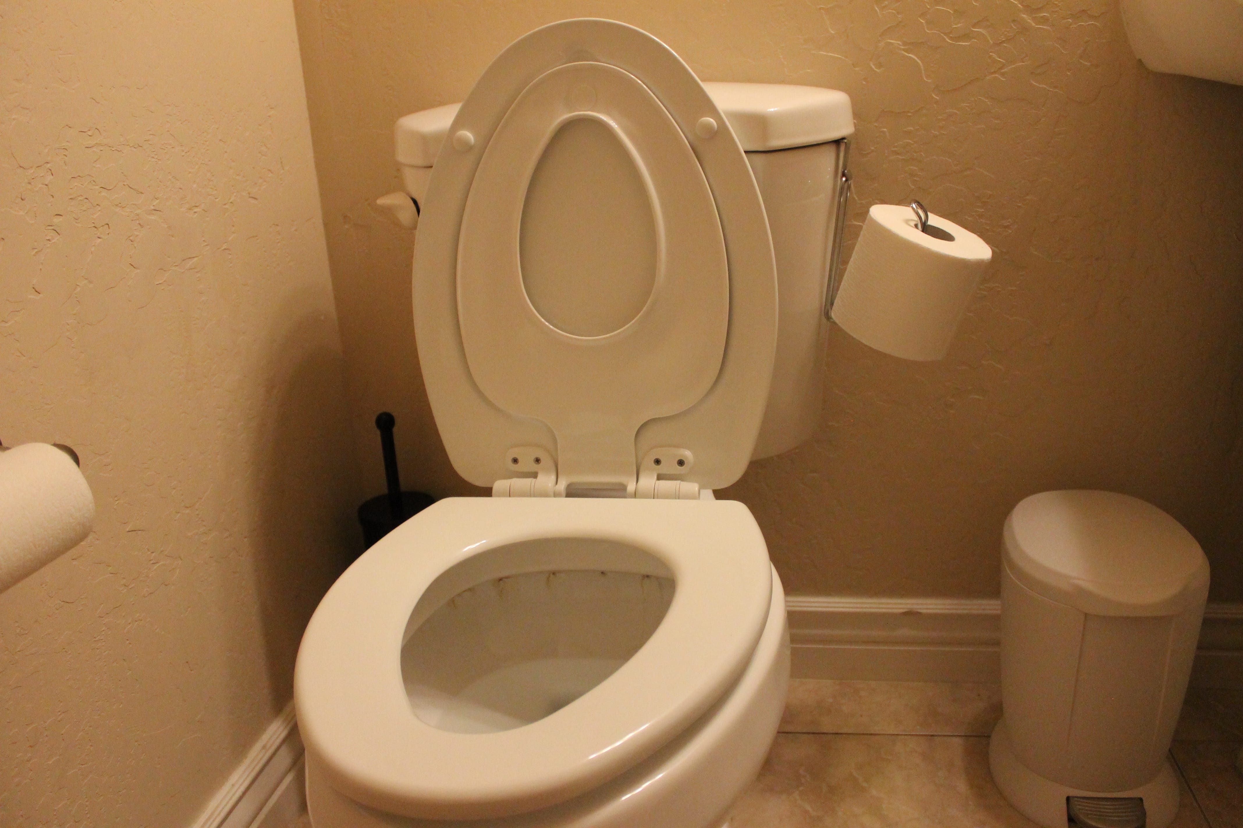 Potty Training Perfection (Installing a toddler toilet seat)
