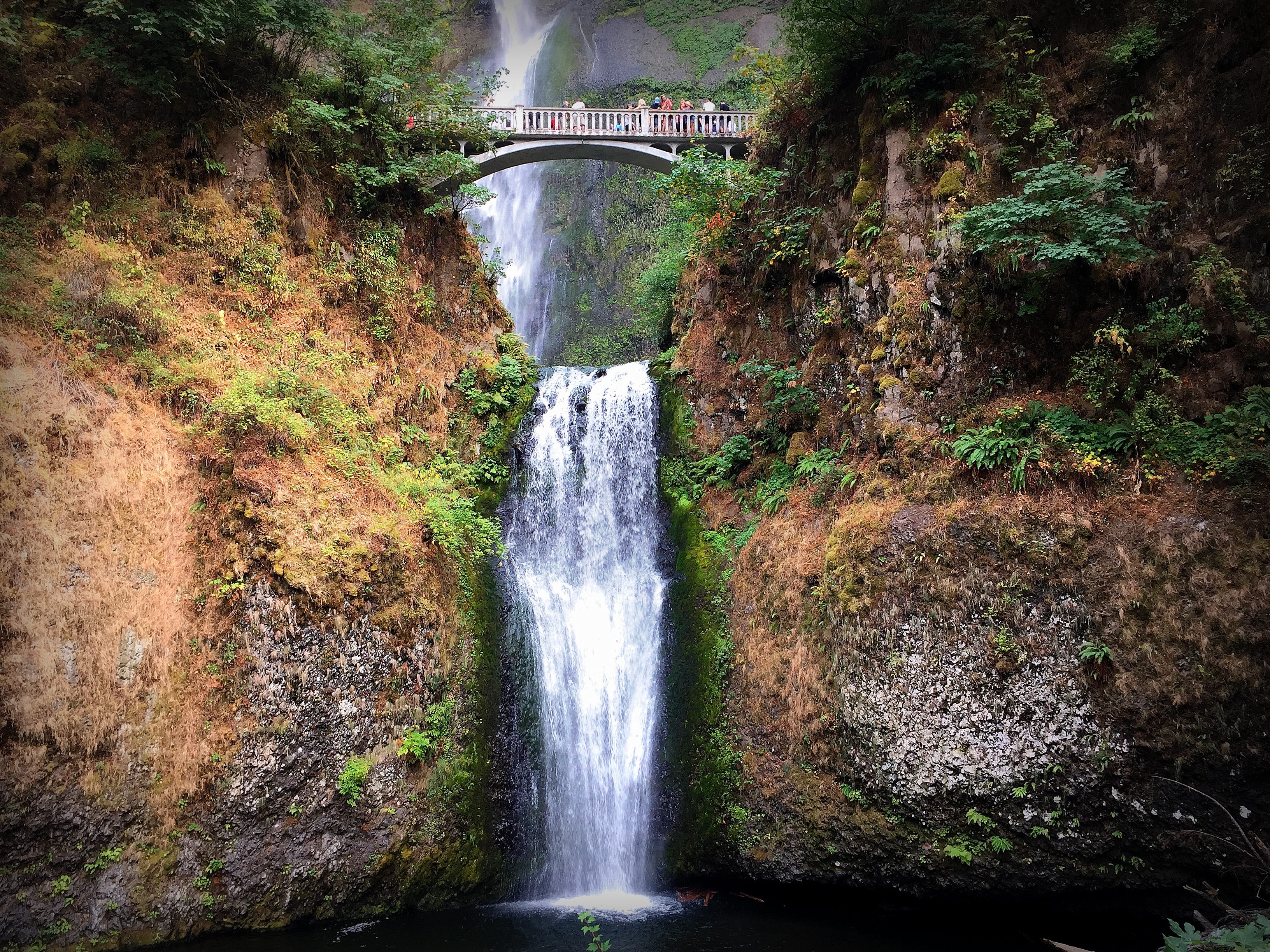 Water To Wine Eco Tourism In Oregon Gabriela Sijer Medium