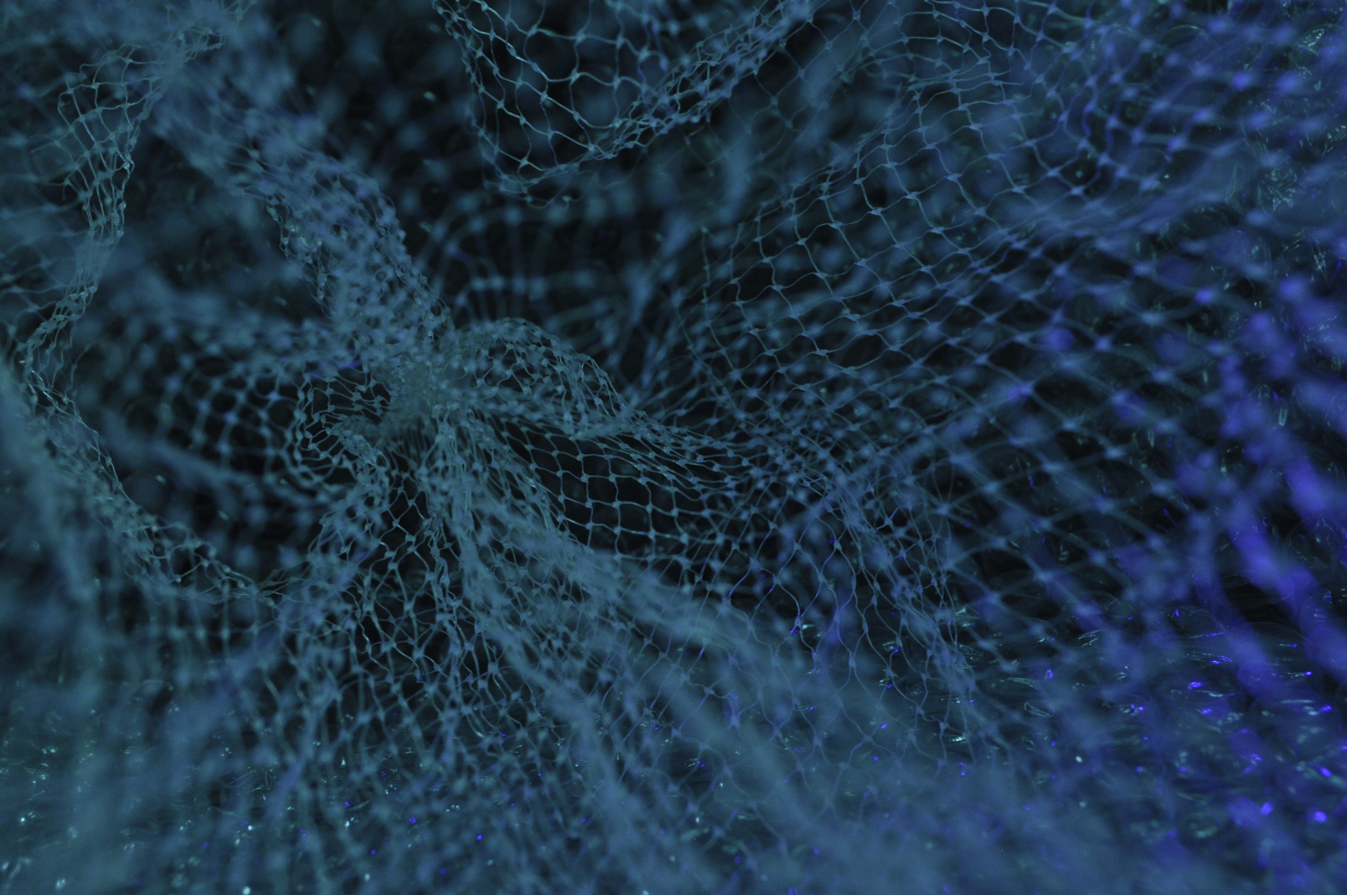 Neural Networks For Survival Analysis In R By Raphael Sonabend Apr 21 Towards Data Science
