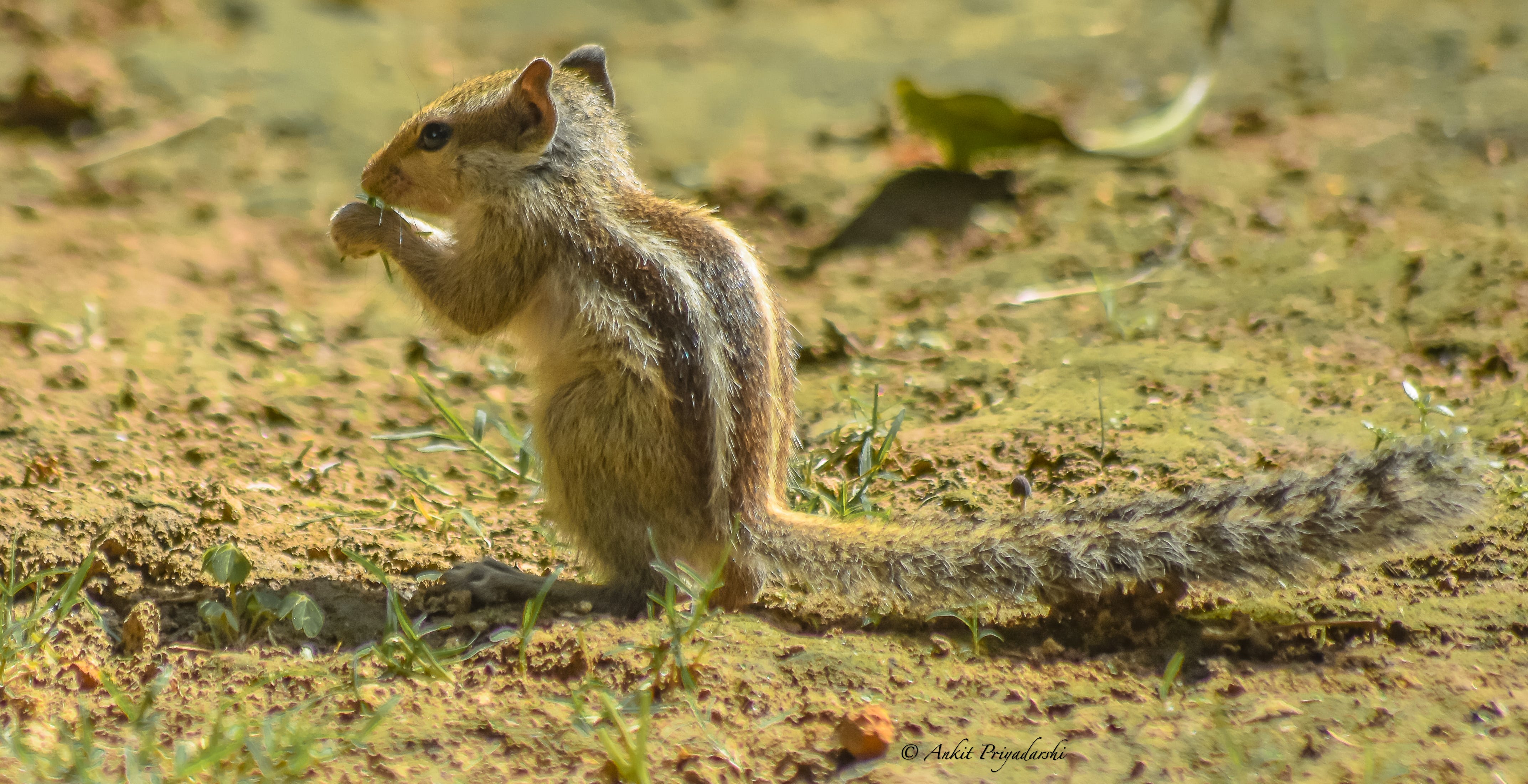 There is hardly any difference between the living creatures if you neglect a few minor things!