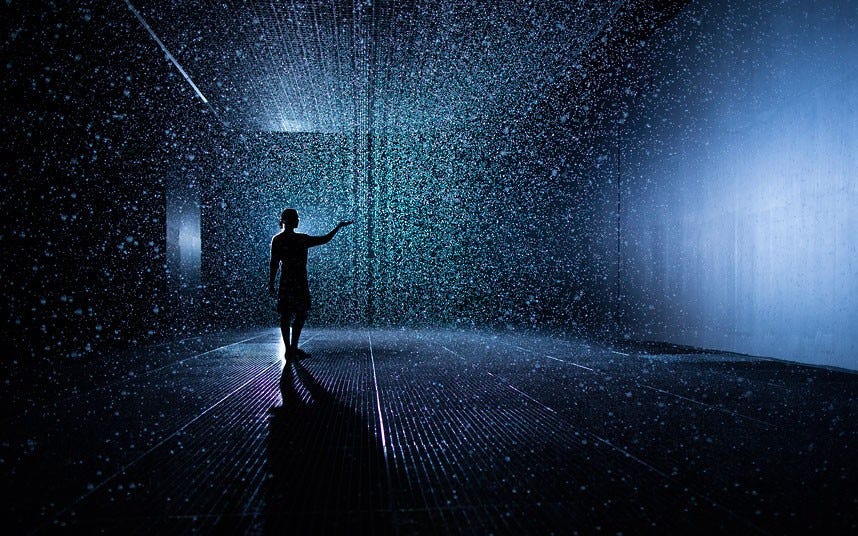 Feel it, live it: immersive art. The medium in which contemporary… | by ...
