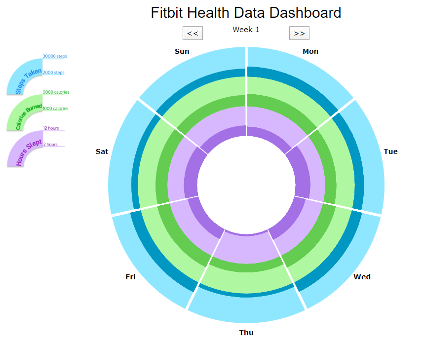 Fitbit Health Data Dashboard. Overview | by Evann Wu | Medium