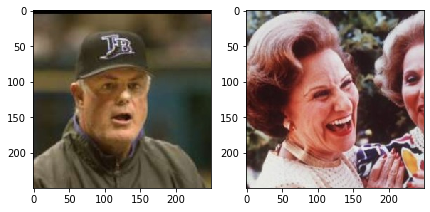 Dog breed classification using Deep Learning concepts | by Torben ...