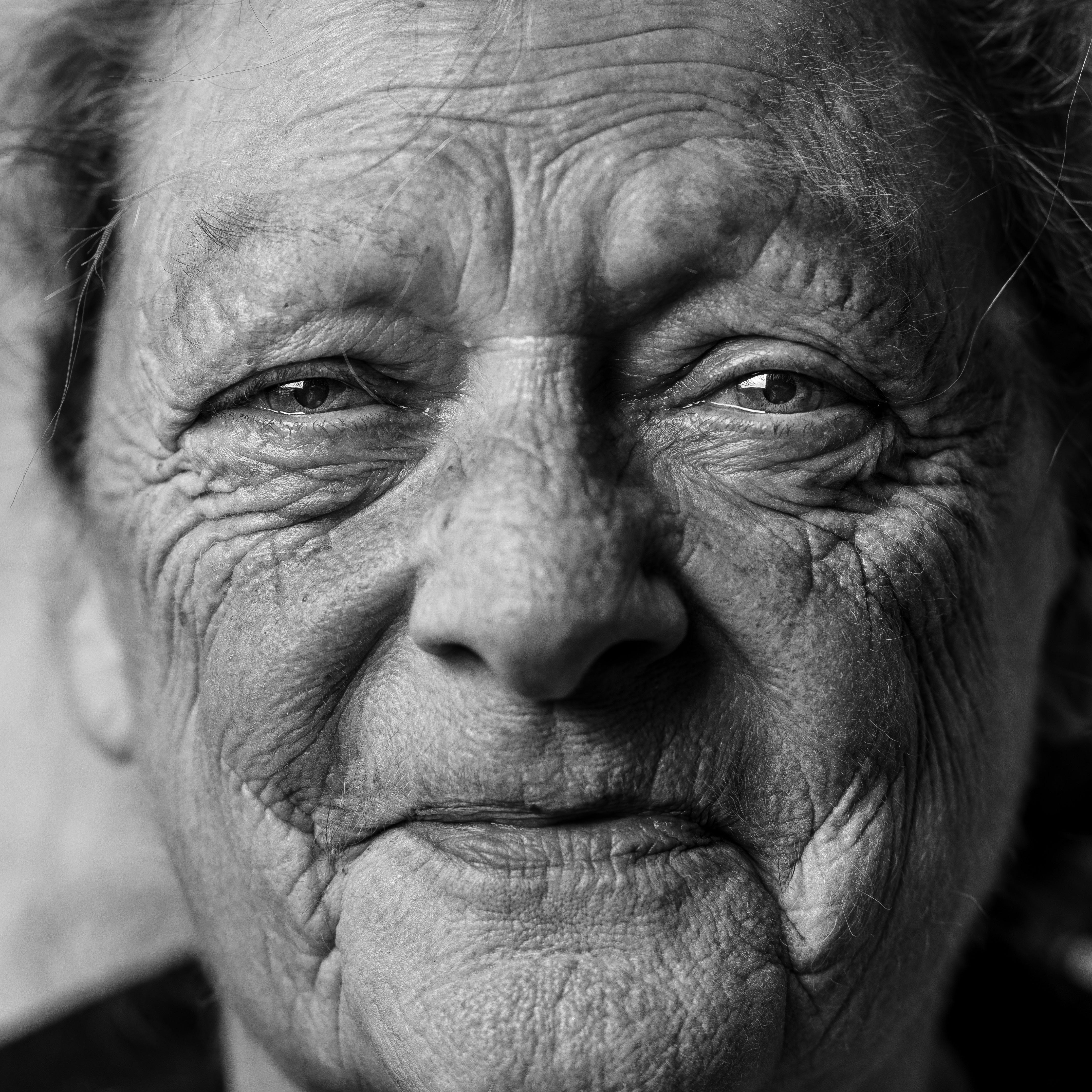 Wild Things My Grandma Told Me Grandparents Have Secrets And Trust Me By Ellie Scott Ellie S Telling Tales Medium