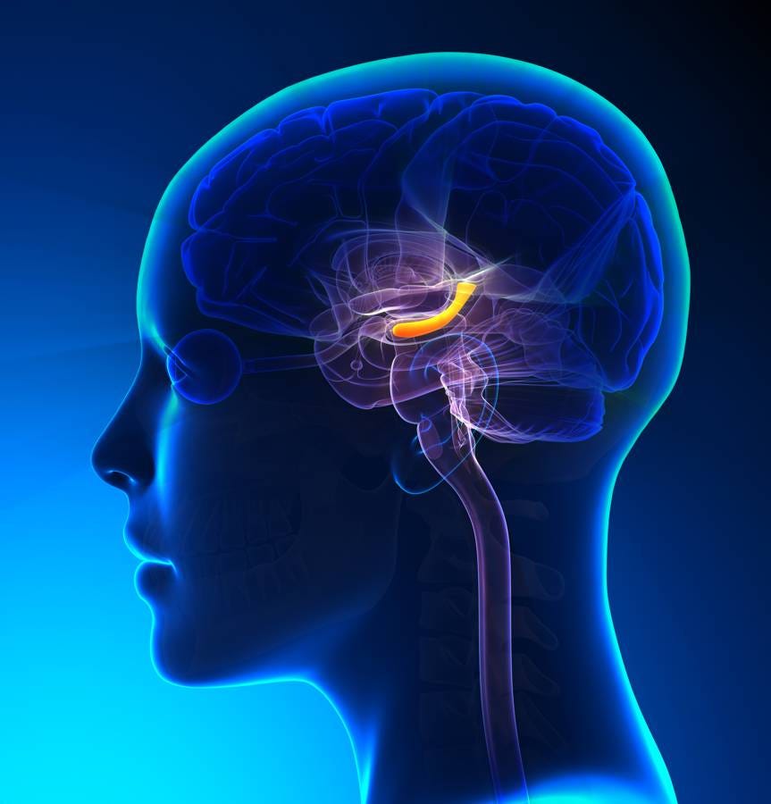 Mnemonic Devices Playing Mind Games With Your Memory By Tova Krakauer Medium