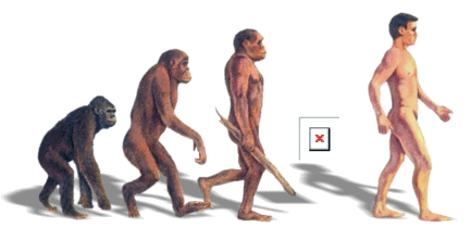 why haven t we found the missing link
