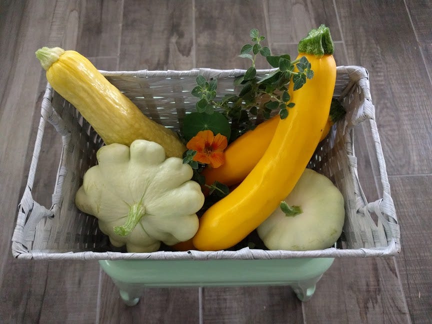 Winter Squash Vs Summer Squash What Is The Difference By Amanda Dunker Avalow Medium